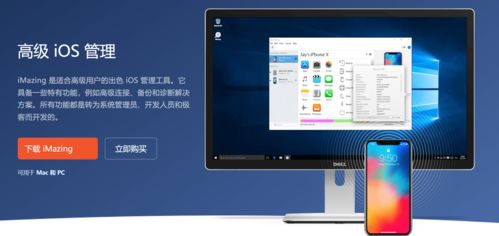 iMazing 2.17.6官方版下载、安装指南及常见问题全解析